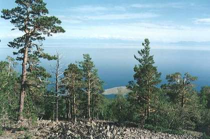 Готовность перехода Иркутской области на новую систему обращения с ТКО оценит Законодательное Собрание