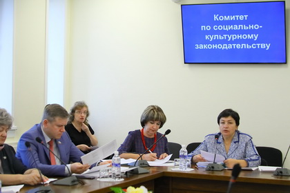 Вопросы поддержки студентов, молодежных и детских объединений рассмотрел комитет по социально-культурному законодательству