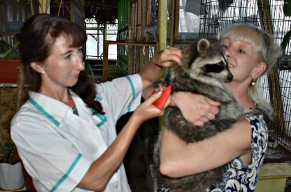 В открытии центра помощи диким животным в Усть-Илимске помогает Виталий Перетолчин
