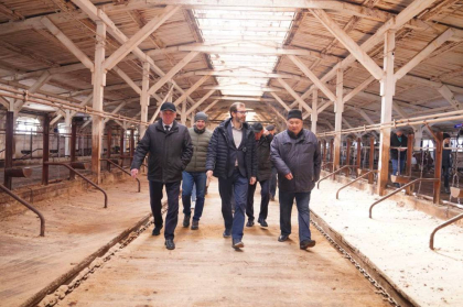 Александр Ведерников: Поддержка аграриев – это вопрос сохранения села