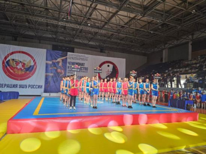 Чемпионат и первенство Сибирского Федерального округа по Ушу-Саньда прошли в Иркутске