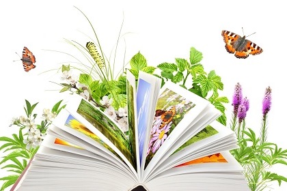 15 апреля – День экологических знаний