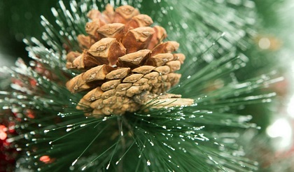 Сергей Брилка: благодаря проекту «Народные инициативы» новогодние праздники в территориях станут ярче 