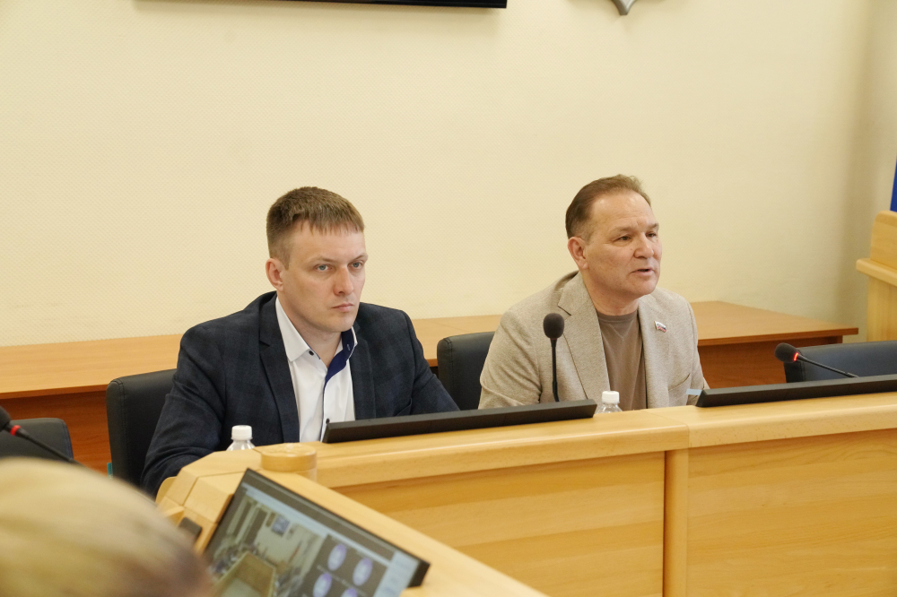 Комитет по здравоохранению поддержал изменения в закон о дополнительной мере соцподдержки семей с детьми