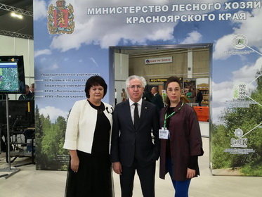 Ольга Носенко: подход к реализации инвестпроектов в лесной отрасли должен быть изменен