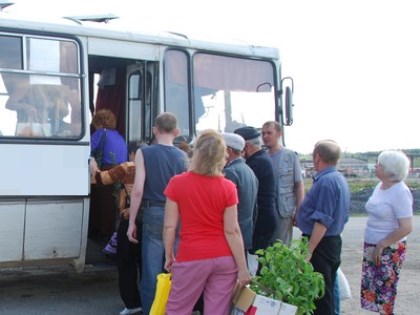Запустить регулярные автобусы в садоводства под Иркутском пытаются горожане вместе с Романом Габовым