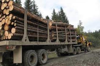 Планировку объездной дороги проводят возле Раздолья Усольского района