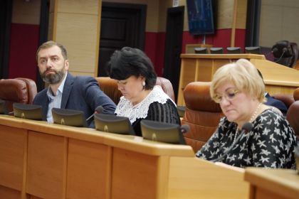 Медпомощь в новогодние каникулы и проведение массовых праздников в Иркутской области обсудили на заседании депутатского штаба