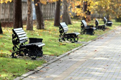 Ирина Синцова: Открытие проектного офиса, развитие бизнеса и кадров в сфере благоустройства – задачи проекта «Городская среда» сегодня