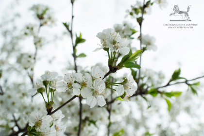 Поздравление Александра Ведерникова с праздником Весны и Труда