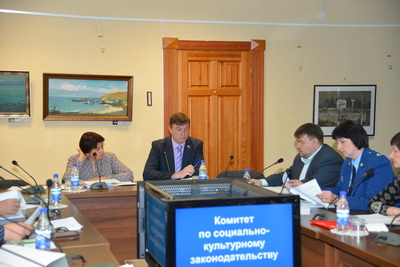 На заседании комитета по социально-культурному законодательству