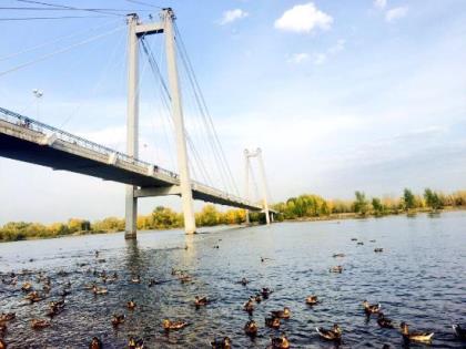 По инициативе депутатов в бюджете 2017 года предусмотрят средства на строительство двух пешеходных мостов