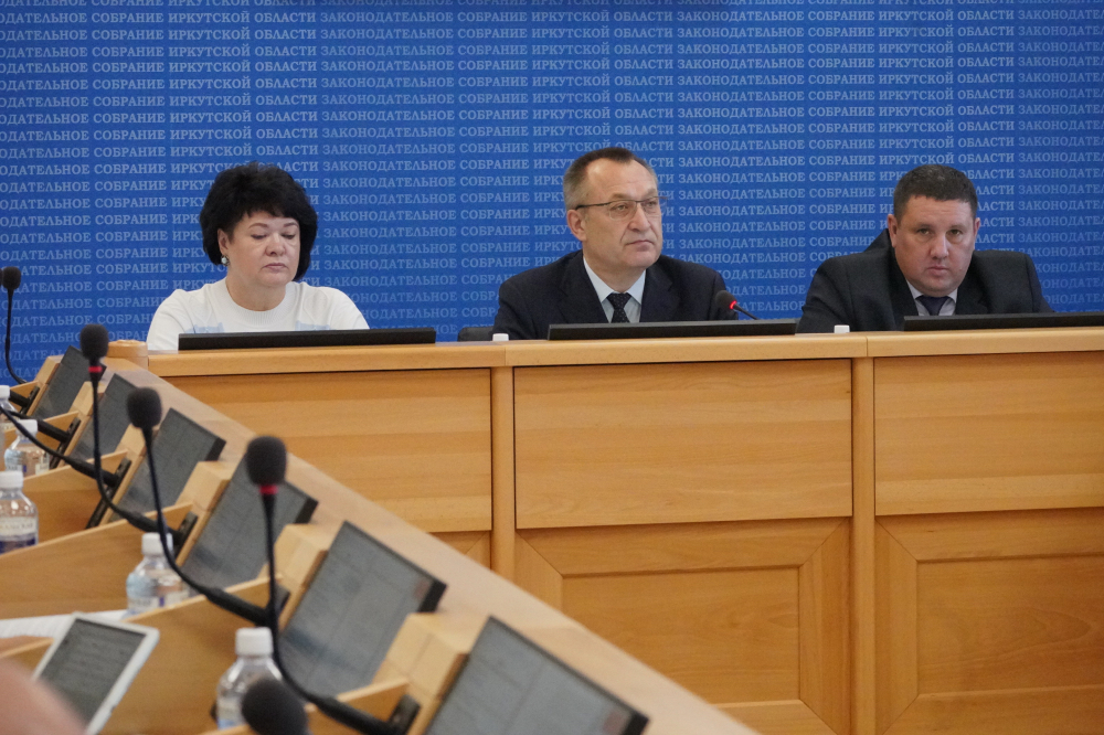 В Иркутской области может появиться беспилотный транспорт