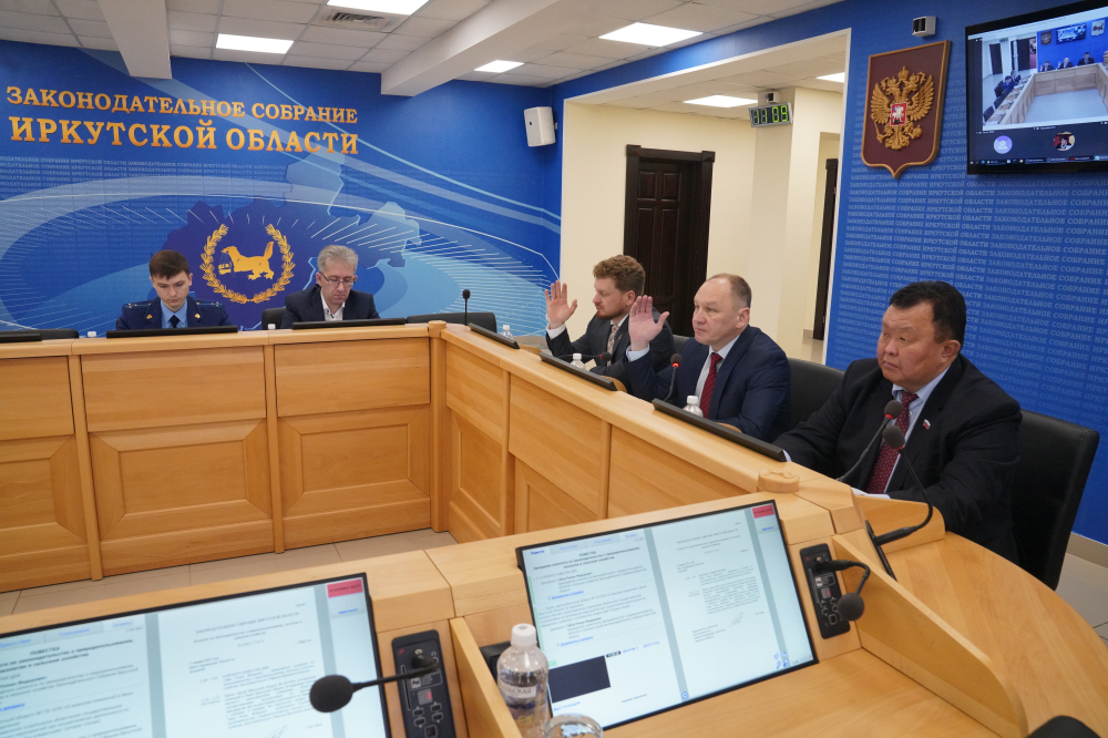 Депутаты ЗС рассмотрят проект закона о бездомных животных во втором чтении