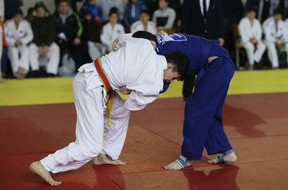 В Усолье-Сибирском откроется специализированная школа дзюдо и самбо 