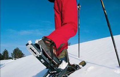 В Иркутской области появился новый вид адаптивного спорта – бег на снегоступах