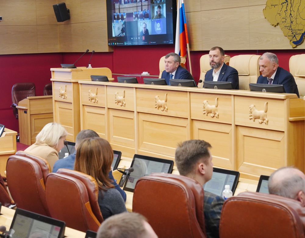 Депутаты Законодательного Собрания и местных дум будут участвовать в информировании жителей о предстоящих выборах Президента России