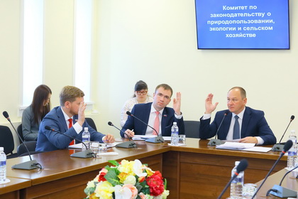 Вопросы о предоставлении земельных участков и заготовке валежника рассмотрел комитет по законодательству о природопользовании  