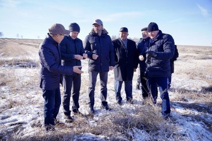 Депутаты ЗС предложили поддержать пострадавших от климатических условий аграриев