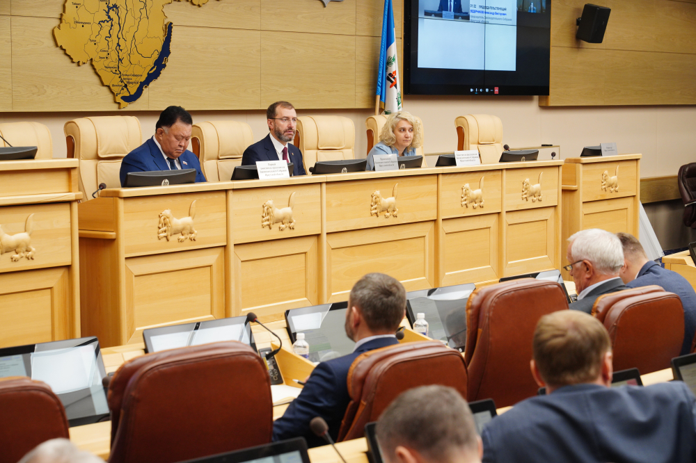 Депутаты ЗС обратились в Правительство РФ с предложениями по установке нормативов потребления электричества