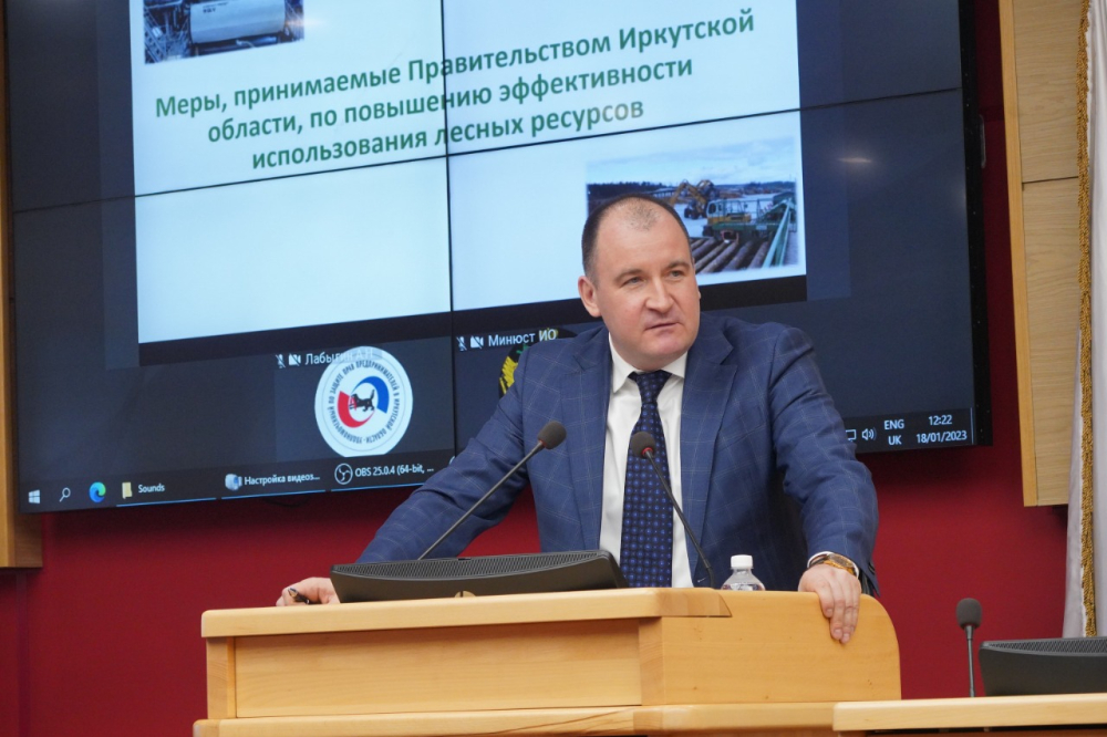 Развитие лесного комплекса обсудили в рамках правительственного часа на сессии ЗакСобрания