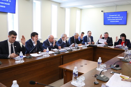 На заседании комитета по собственности и экономической политике 