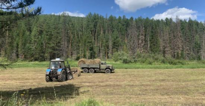 Государственную поддержку смогут получить больше аграриев Иркутской области