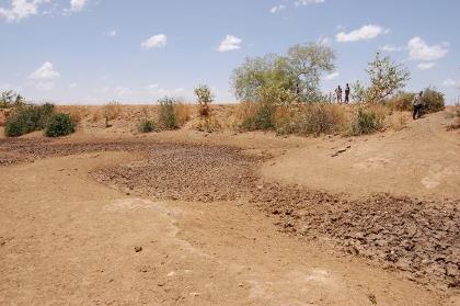Всемирный день борьбы с опустыниванием и засухой