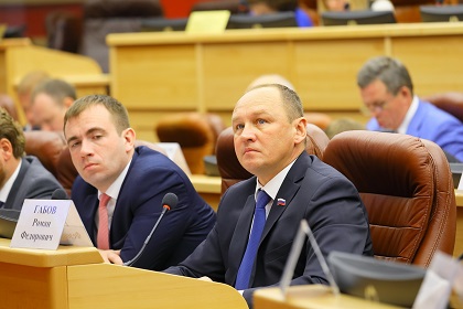 Областные парламентарии обсудили передачу полномочий в сфере обращения с безнадзорными животными на региональный уровень