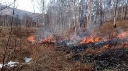 Ольга Безродных помогает депутатам Зиминской думы решить проблемы с подготовкой к пожароопасному периоду