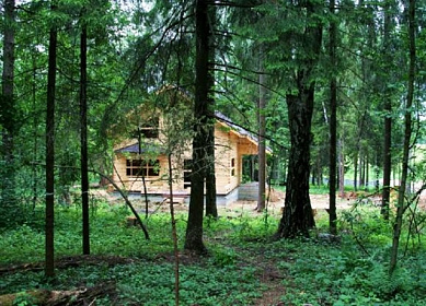 Областные депутаты приняли участие в парламентских слушаниях по «лесной амнистии»