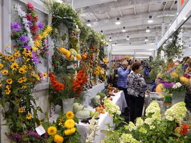 От имени Законодательного Собрания участников выставки "Огород. Сад. Загородный дом" поприветствовал депутат Артем Лобков