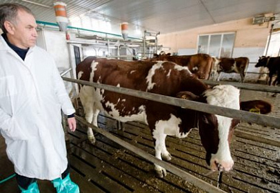 День ветеринарного работника! 