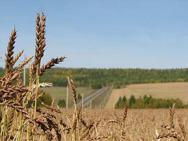 Сергей Брилка: Заксобрание ведет мониторинг ситуации в страдающих от засухи сельскохозяйственных районах